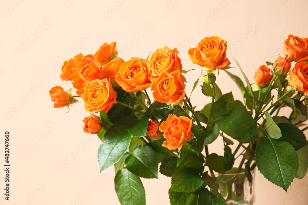 Bouquet of beautiful orange roses on beige background