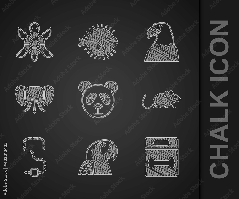 Set Cute panda face, Macaw parrot, Dog bone, Rat, Worm, Elephant, Eagle head and Turtle icon. Vector