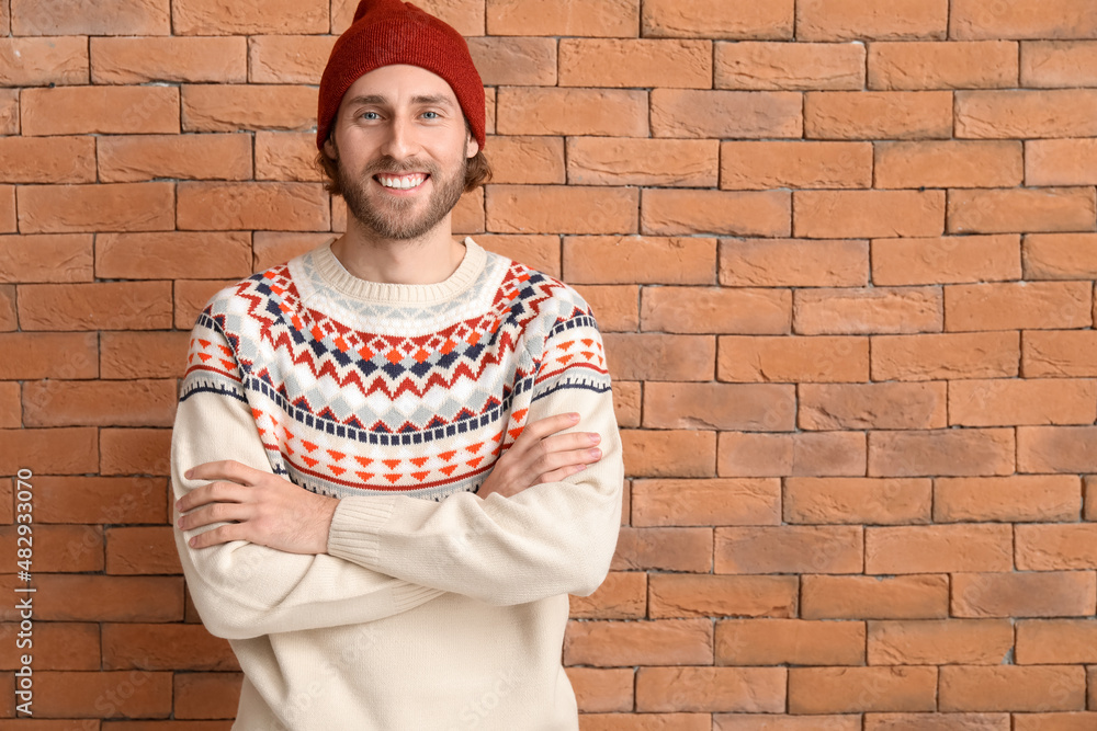 Handsome young man in knitted sweater on brick background