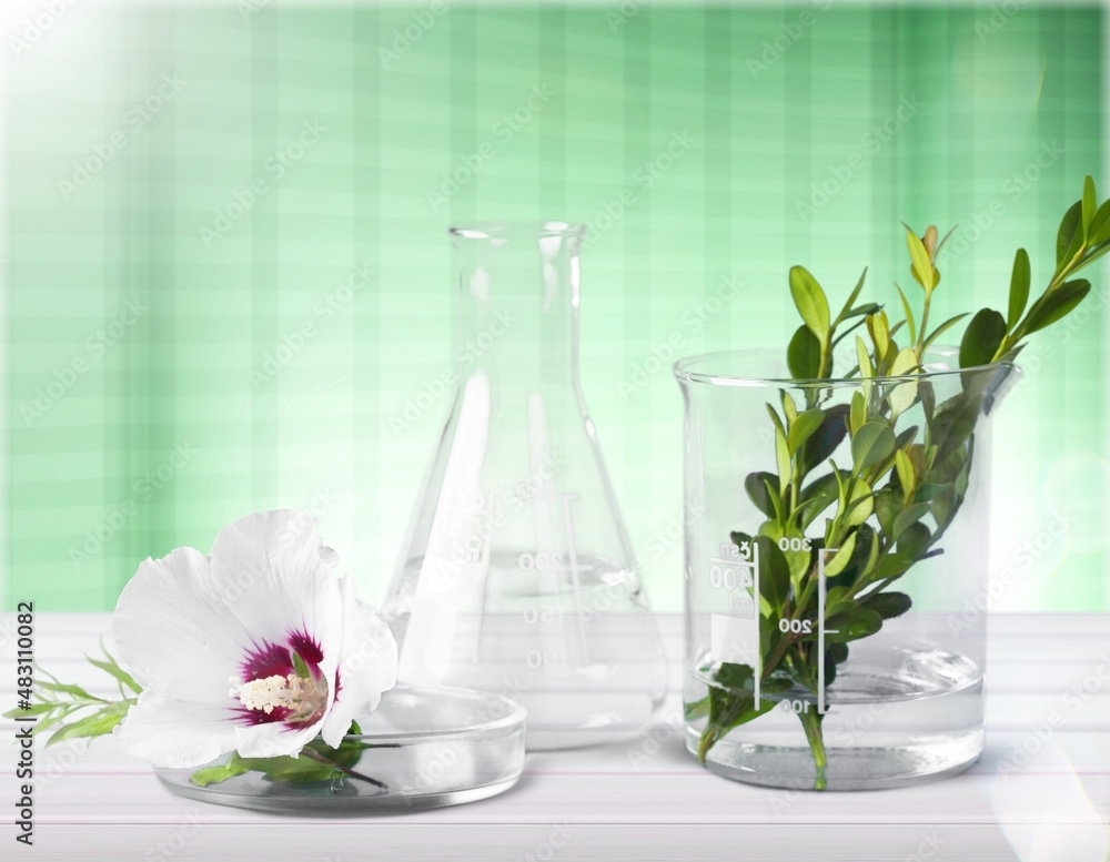 Background for Biological experiment presentation  leaves and water in biological test tubes.