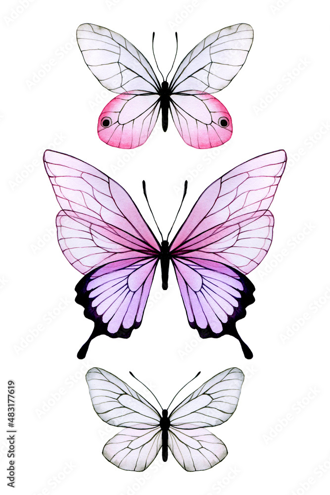 watercolor drawing. set with colored transparent butterflies. beautiful abstract butterflies with tr