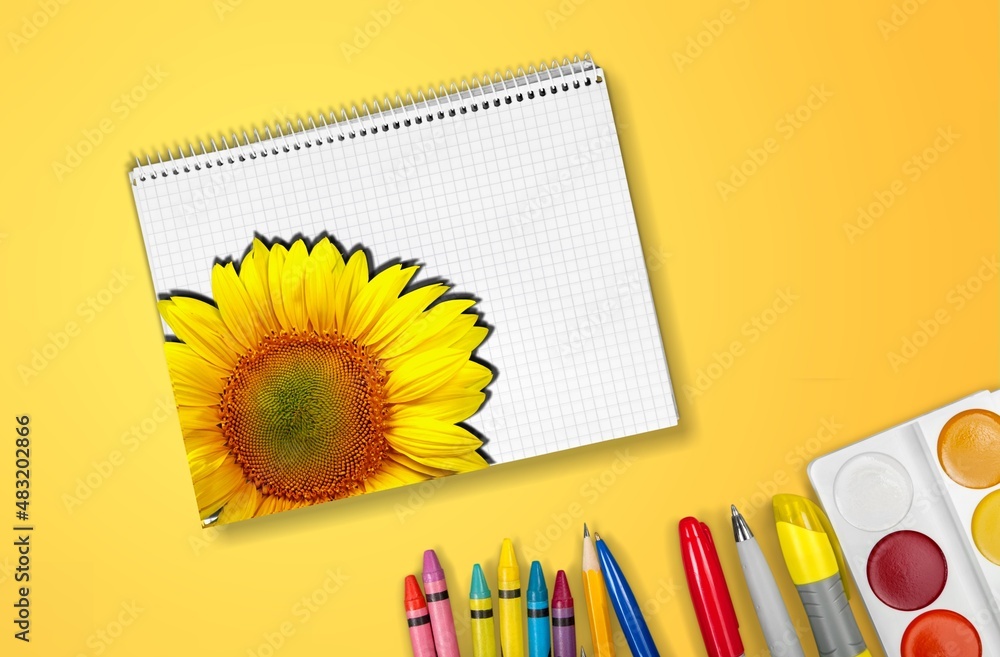 photo book with sunflower cover vector on desk background