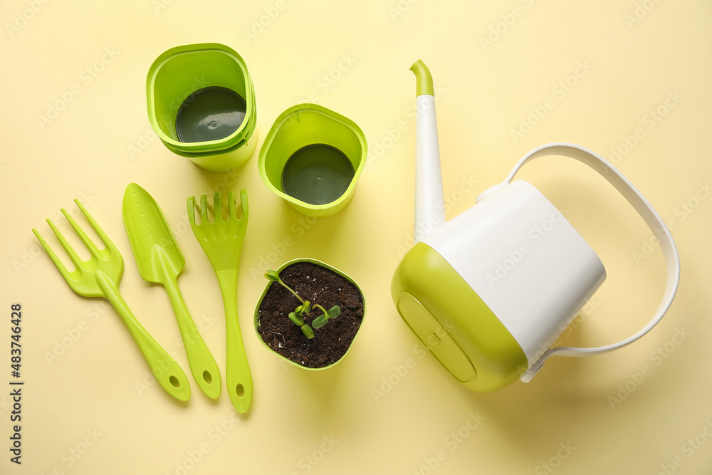 Flower pots, watering can and gardening tools on color background