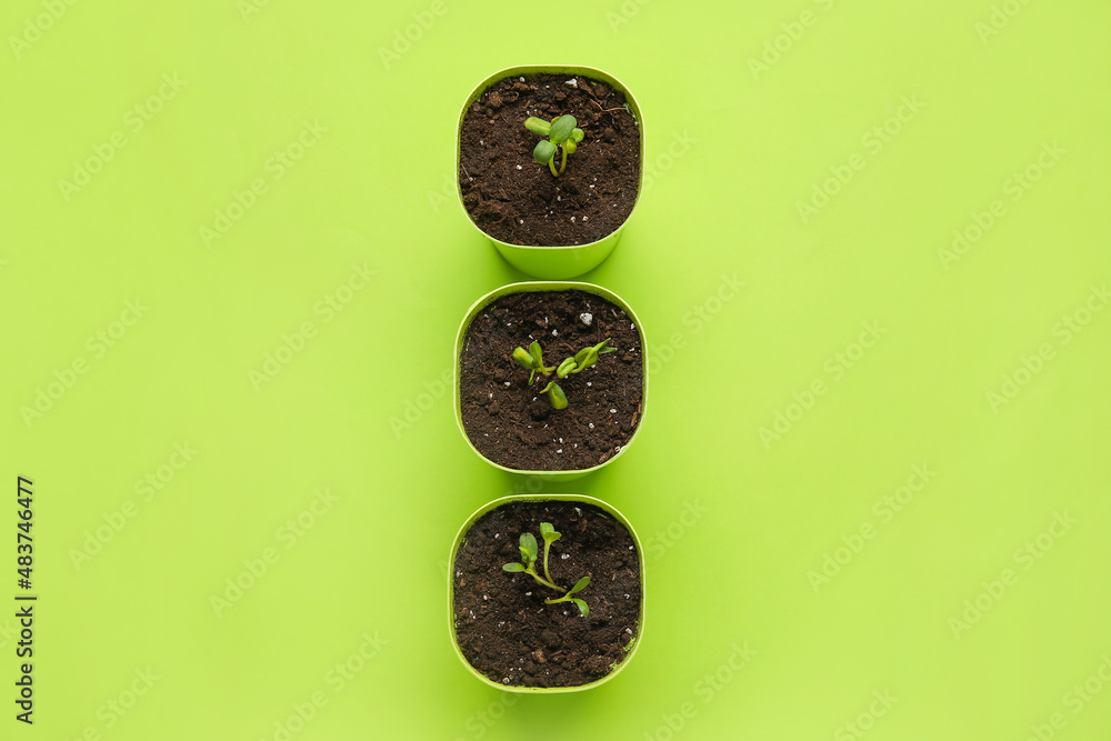 Flower pots with seedlings on green background