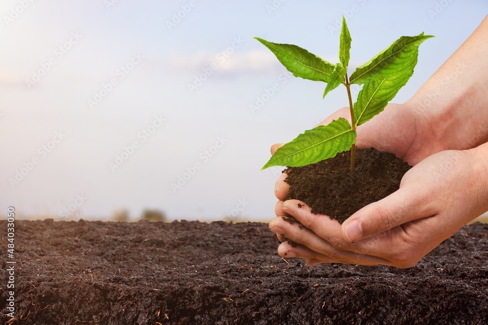 Male hands touching soil on the field. Expert hand of farmer checking soil before growth a seed