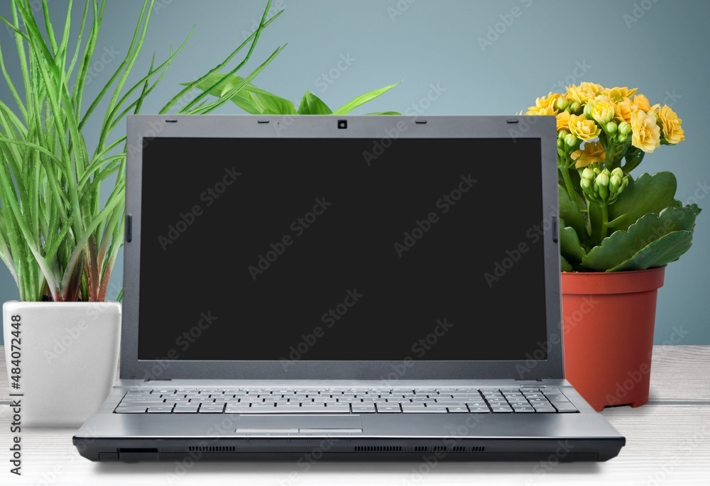 Blank screen On laptop. Beautiful concept for happy new year and christmas 2022