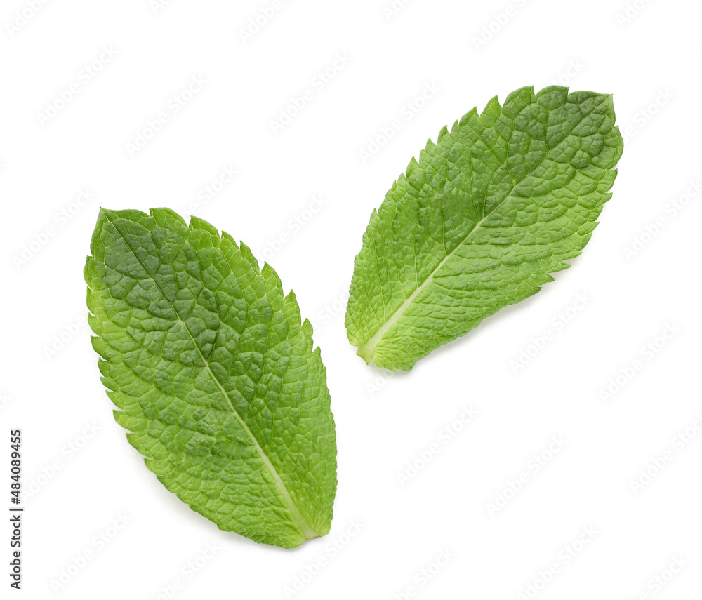 Organic mint leaves on white background