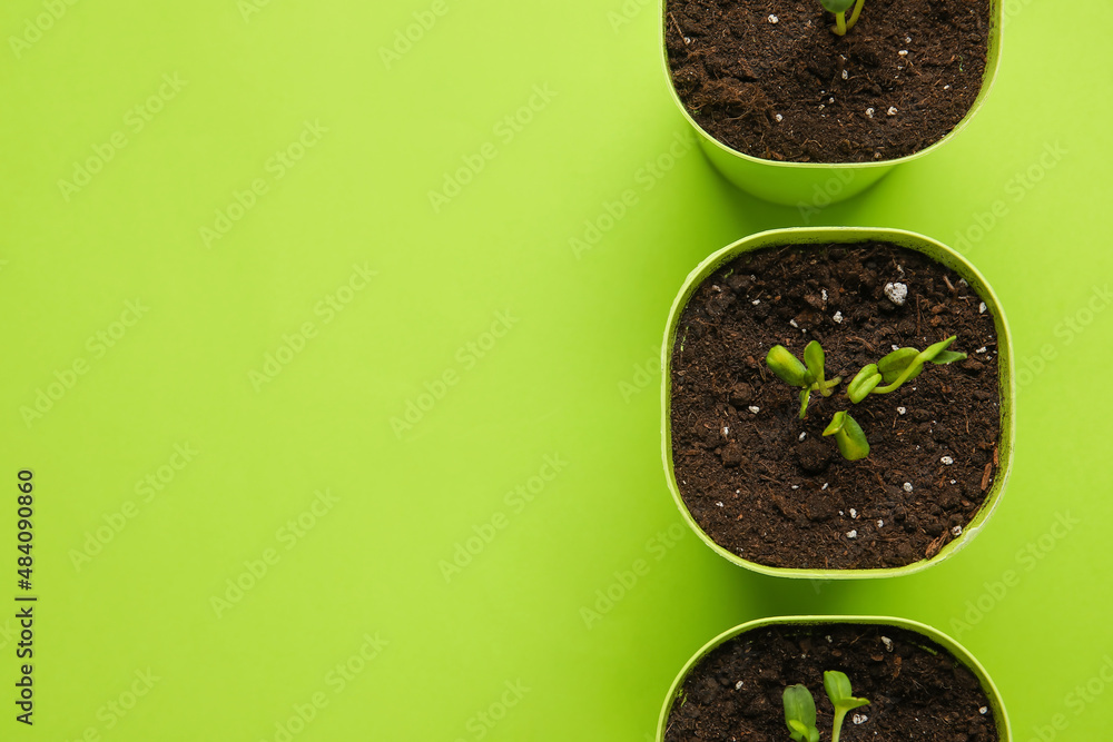 Flower pots with seedlings on green background, closeup