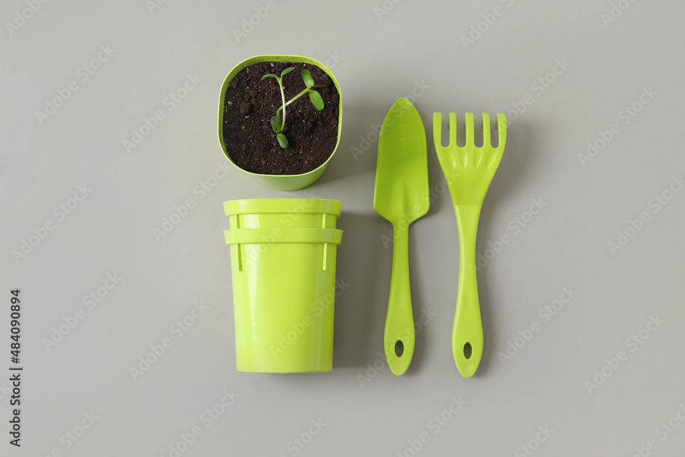 Flower pot with seedlings and gardening tools on grey background