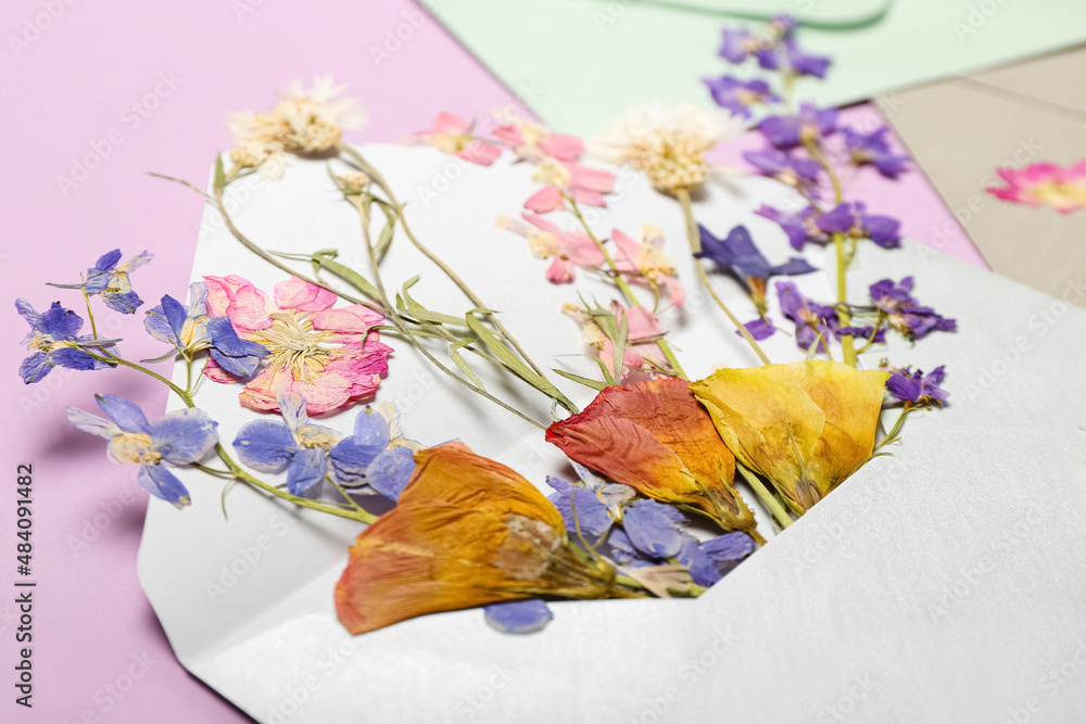 Envelope with dried pressed flowers on pink background, closeup