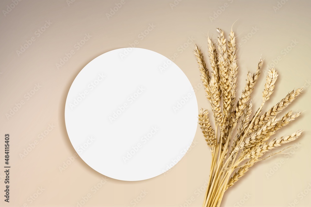 Empty round podium and bouquet of dry oats on the desk