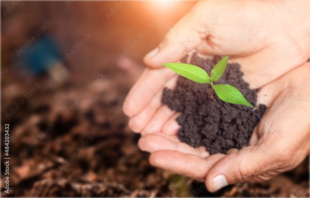 Male hands touching soil on the field. Expert hand of farmer checking soil before growth a seed