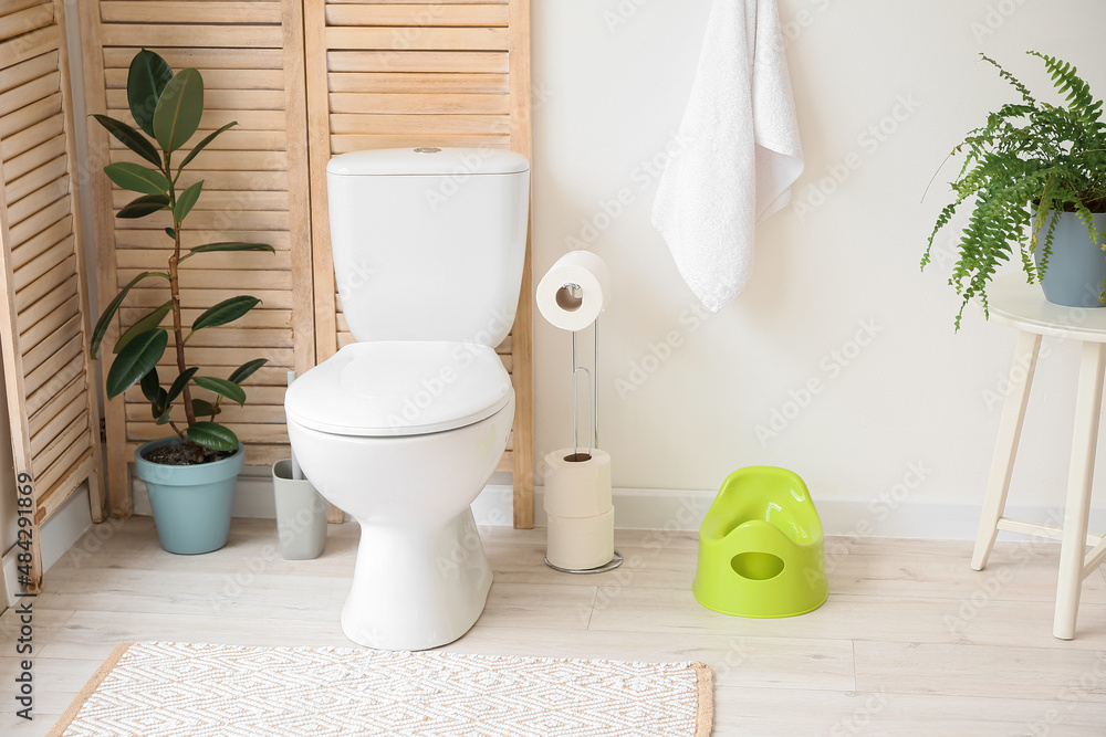 Interior of modern restroom with toilet bowl, holder with paper rolls, green potty and houseplants