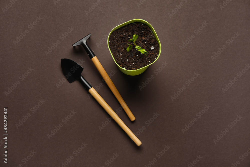 Flower pot and gardening tools on dark background