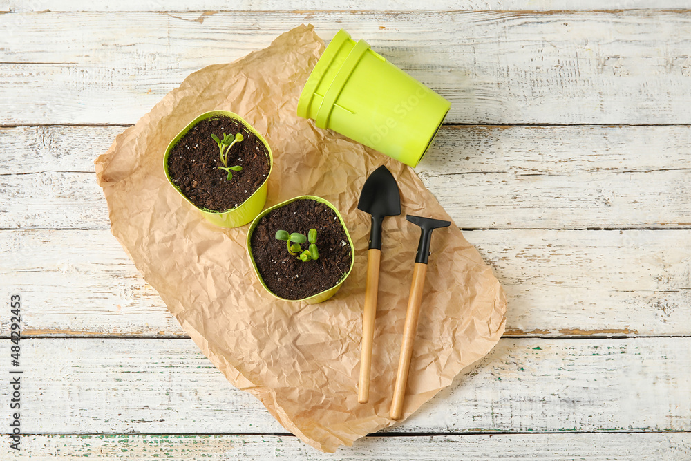 Flower pots and gardening tools on light wooden background