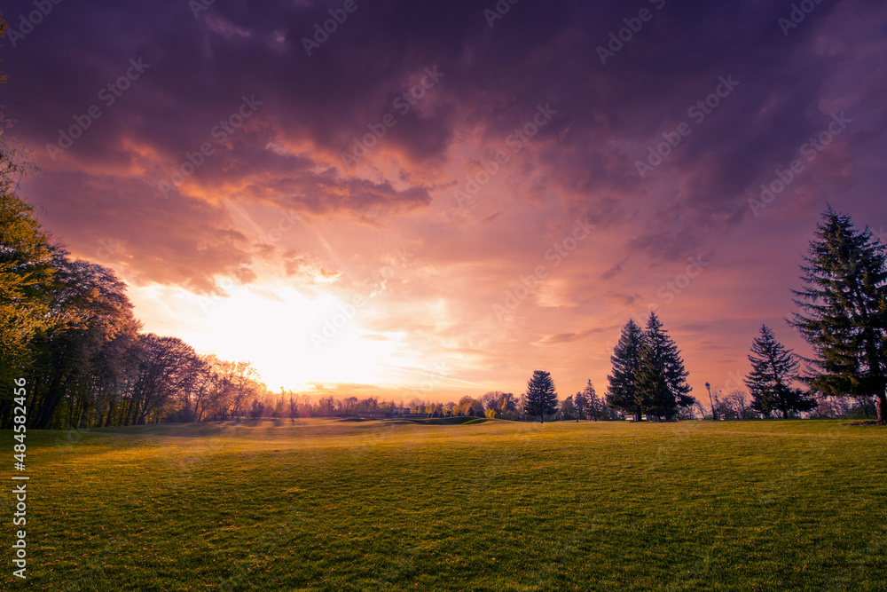 Bright sunset, forest edge and green meadow.