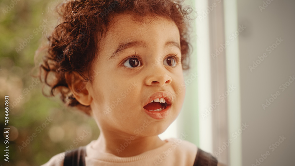 Portrait of a Cute Little Multiethnic Boy with Curly Dark Hair Smiles Happily. Smart Little Child wi