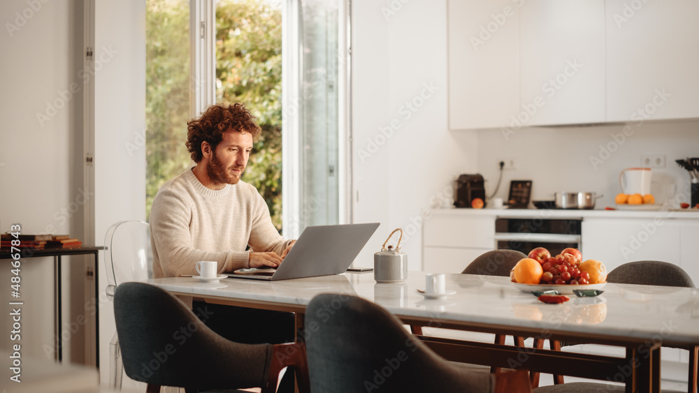 Handsome Adult Man with Ginger Curly Hair Using Laptop Computer, Sitting in Living Room in Apartment