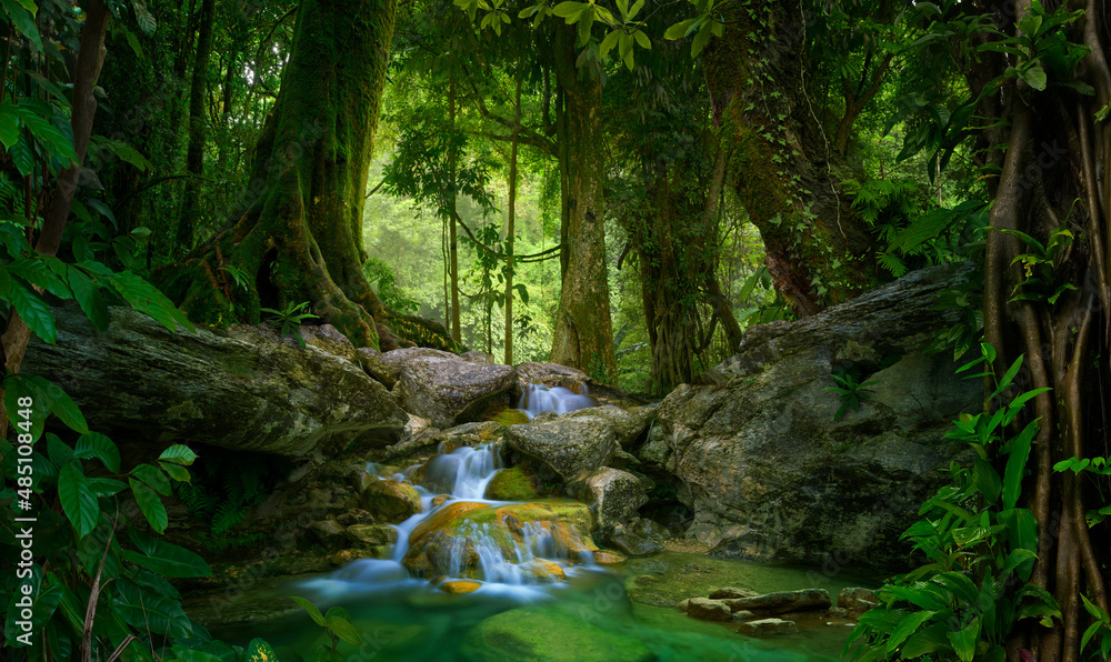 Asian deep jungle with waterfall