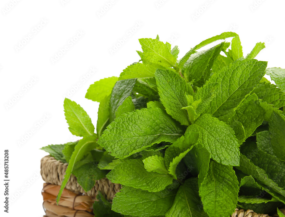 Wicker basket with mint on white background