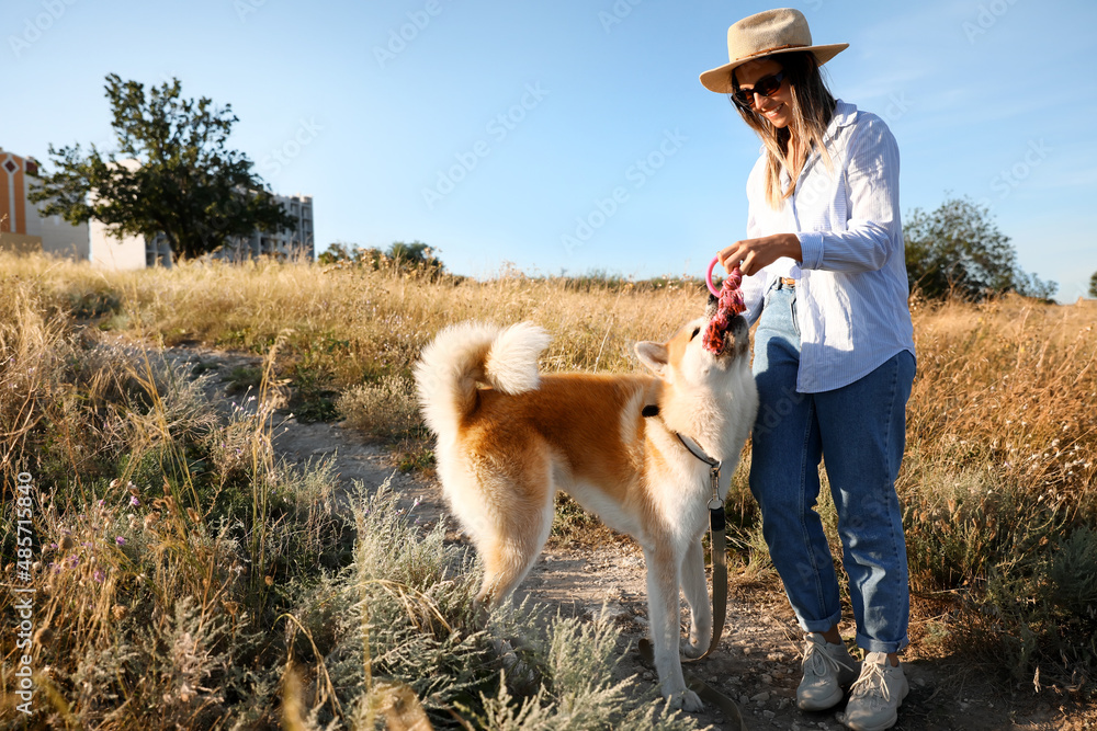 女人在户外与有趣的秋田犬玩耍