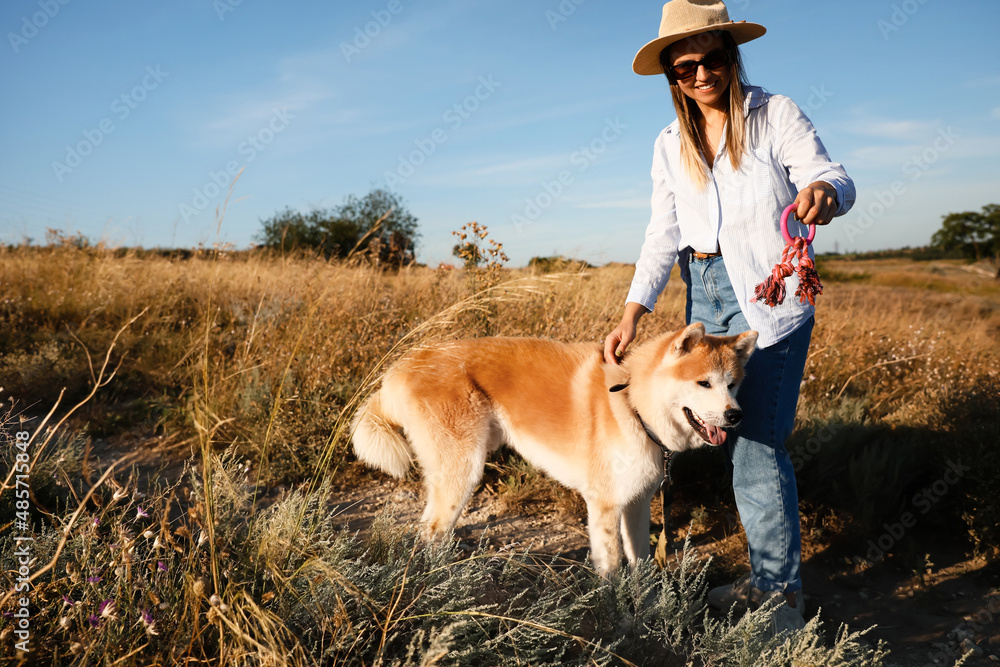 女人在户外与有趣的秋田犬玩耍