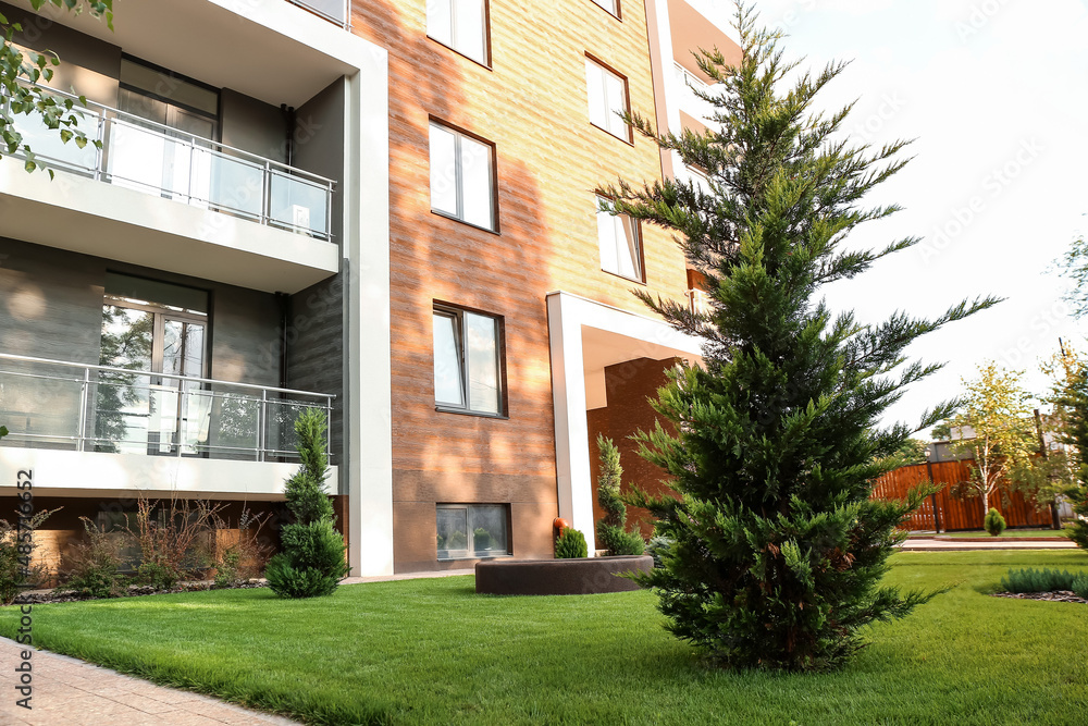 View of beautiful landscape design with coniferous trees near modern building in city