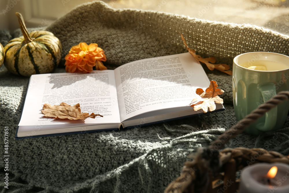 Book, cup of coffee and autumn decor on plaid