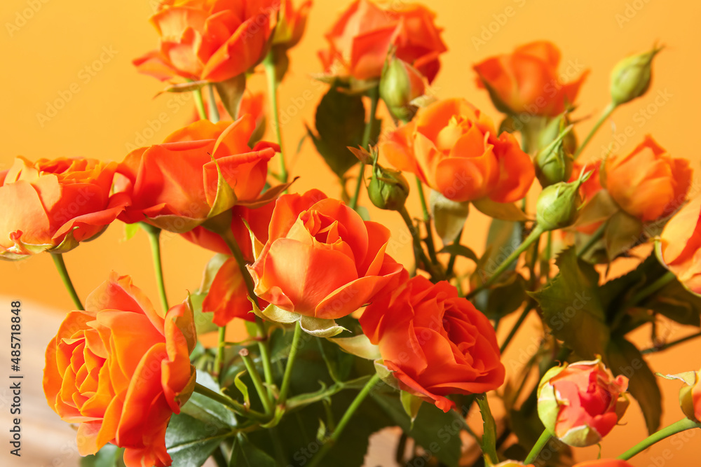 Bouquet of beautiful orange roses on color background, closeup