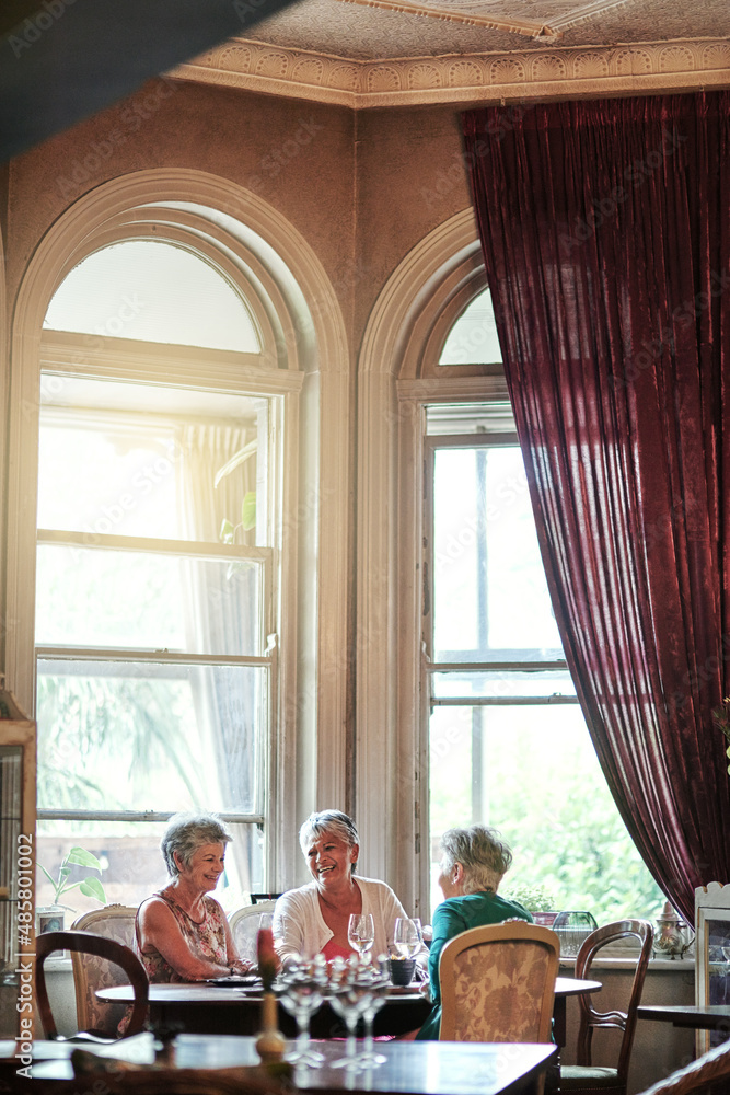 Its so good seeing you girls again. Cropped shot of a group of senior female friends enjoying a lunc