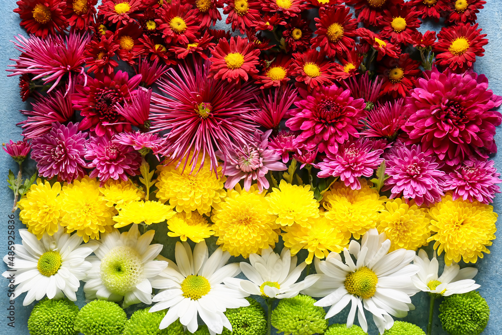 Composition with different flowers, closeup