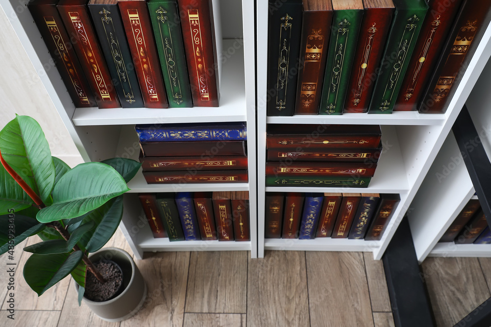 Shelf unit with books in home library