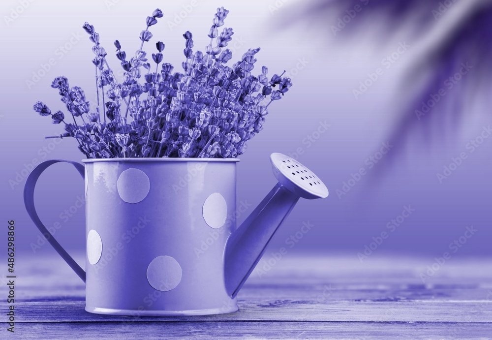 Fresh flowers in vase, composition. Minimalistic style. Interior still life in trendy purple very pe