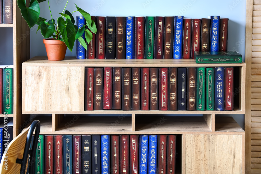 Shelf unit with books in home library