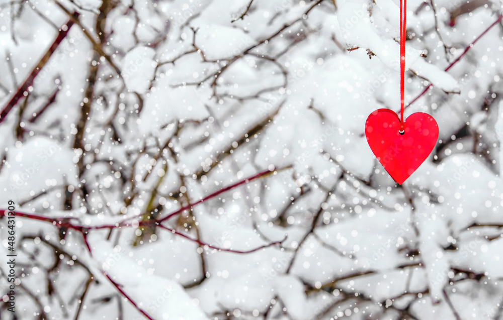 Symbol of love hangs on snow-covered spruce
