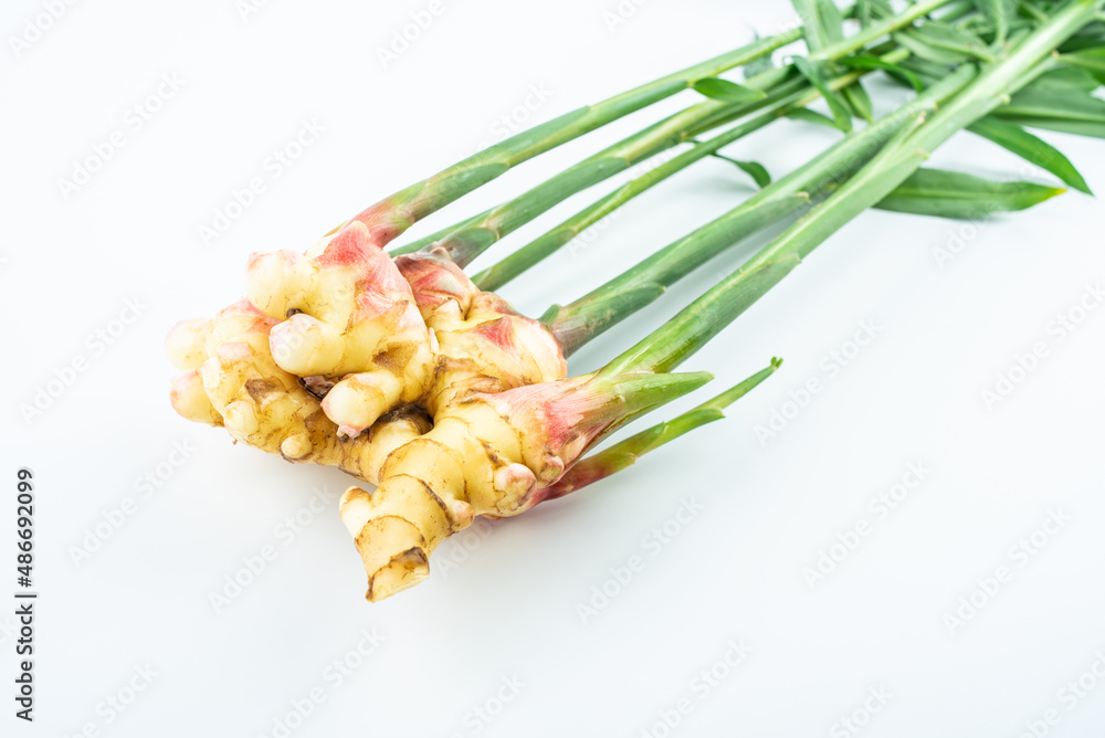 Fresh young ginger on white background