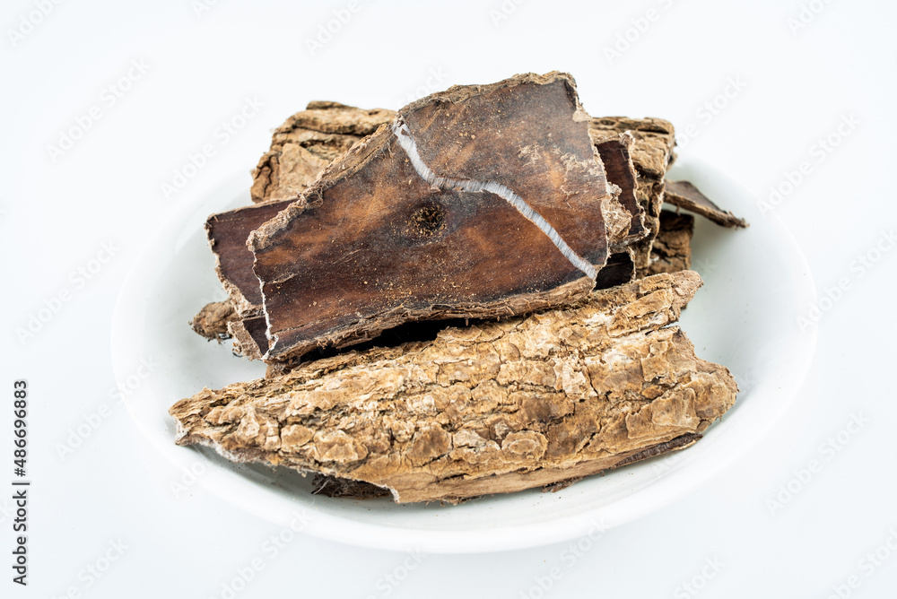 Chinese herbal medicine Sichuan wild eucommia on white background