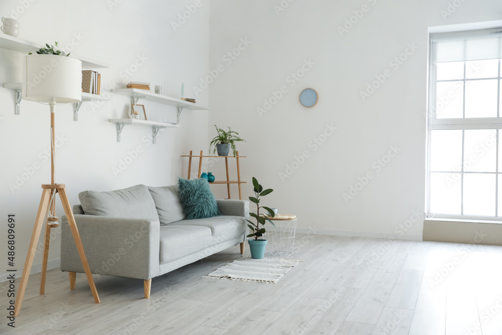 Stylish grey sofa with houseplants in modern interior of living room