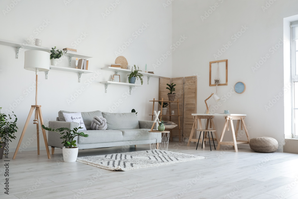 Stylish grey sofa with houseplants in modern interior of living room