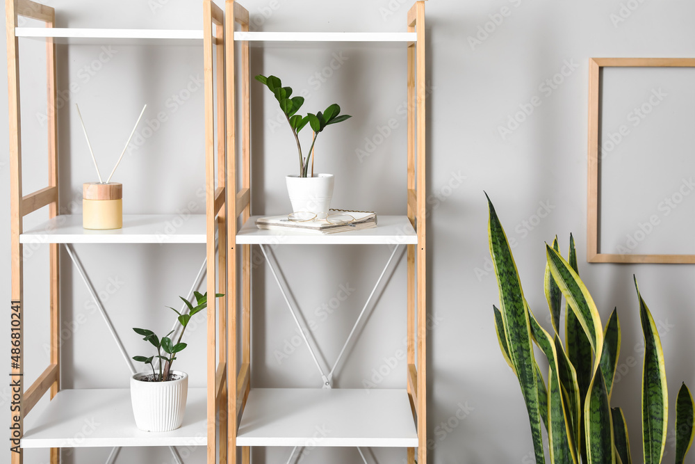 Shelving unit with flowerpots and reed diffuser near light wall