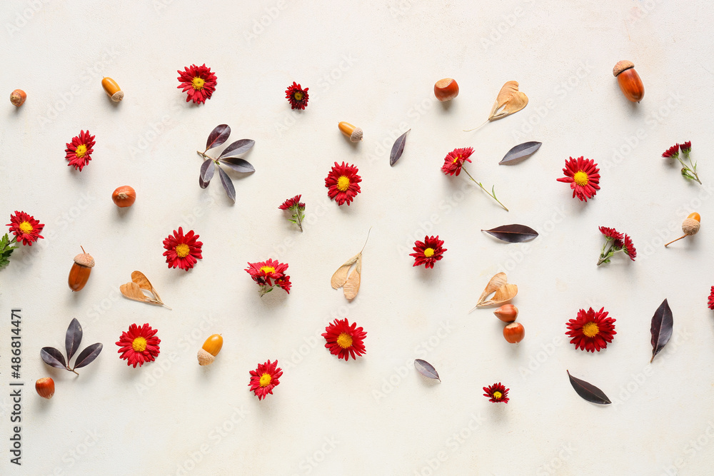 Composition with chrysanthemum flowers and natural forest decor on light background