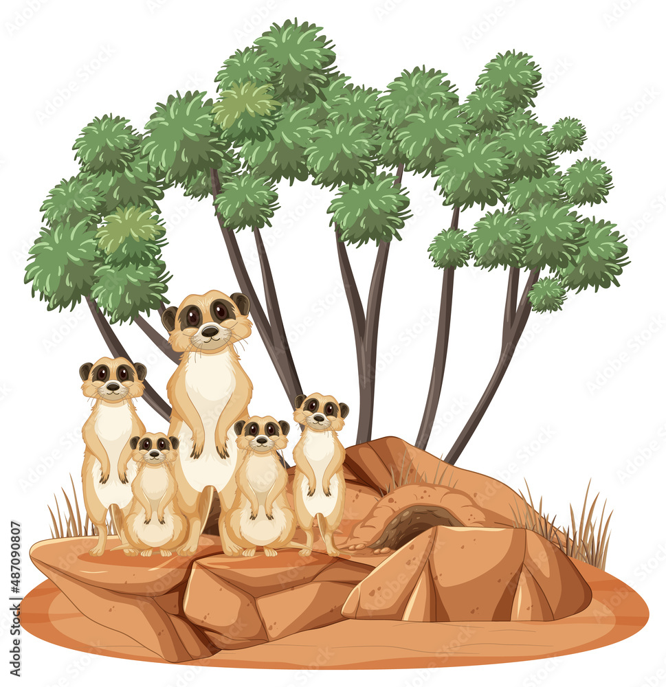 Isolated nature scene with meerkat family