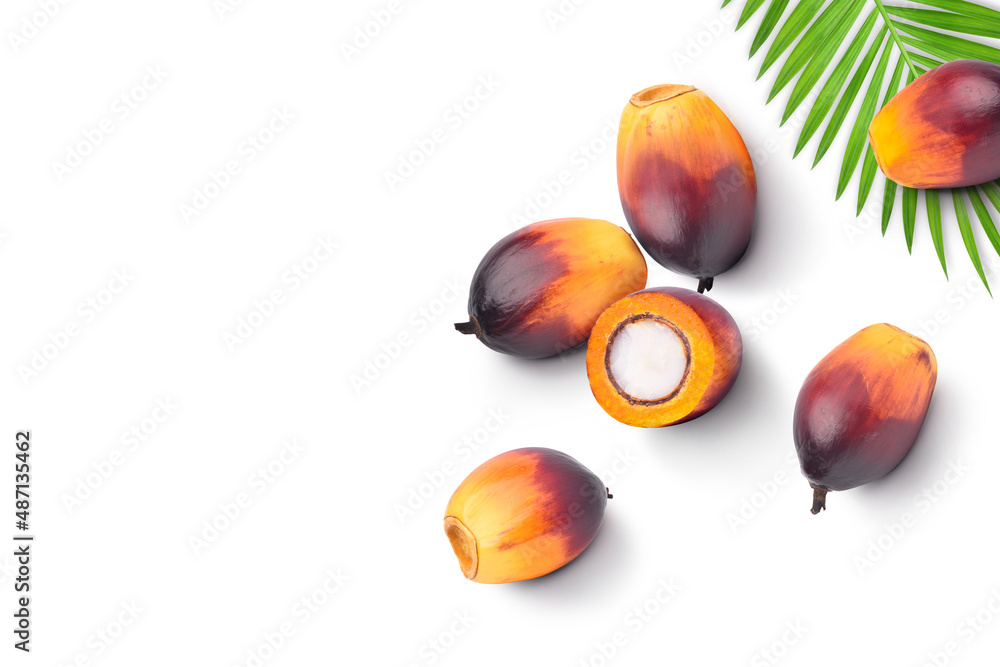 Flat lay of Palm oil seeds isolated on white background.