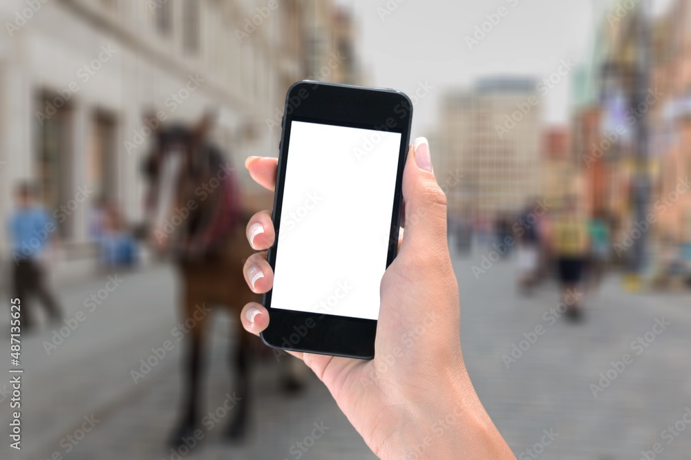 Business and financial concept. Hand with smartphone with a blank screen