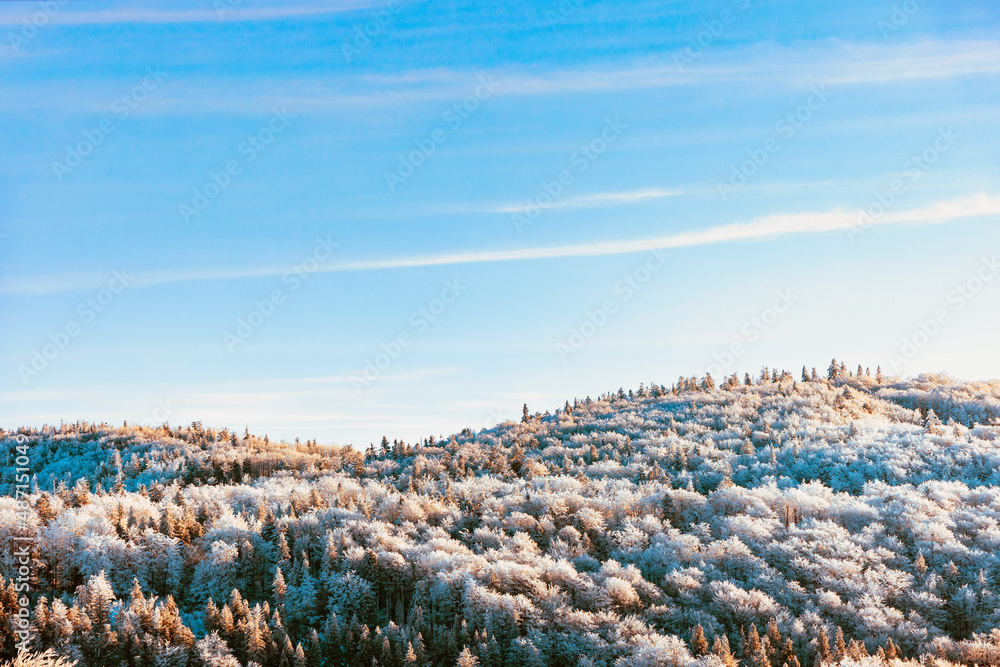 冬季背景山丘，森林覆盖着积雪.jpg