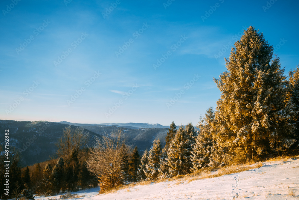 背景是冬天的山和树覆盖的雪