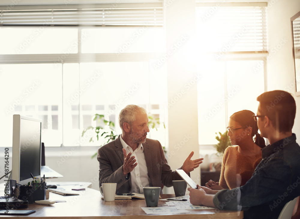 Passing on experience to a new generation. Shot of a group of coworkers in a boardroom meeting.