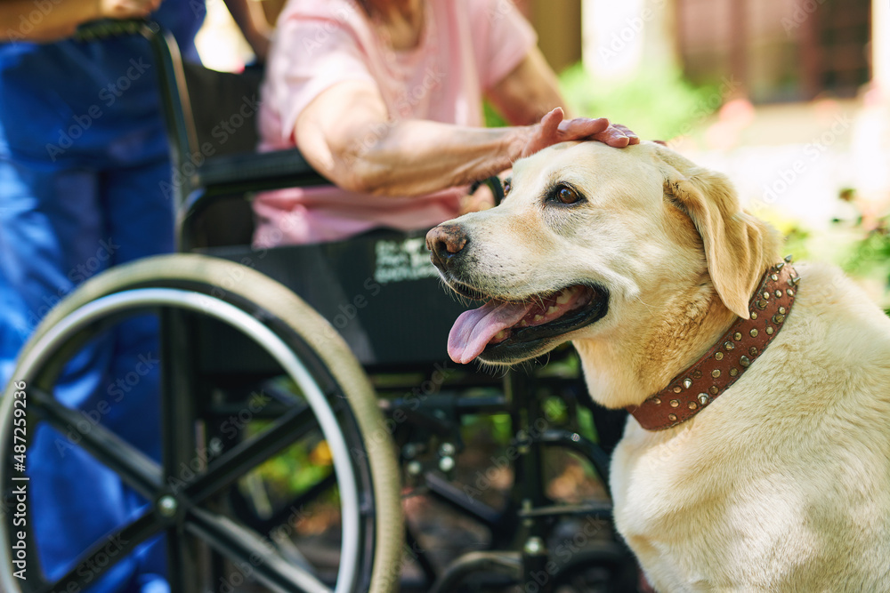 Hes not only mans best friend. Shot of a resident, her dog and a nurse outside in the retirement hom