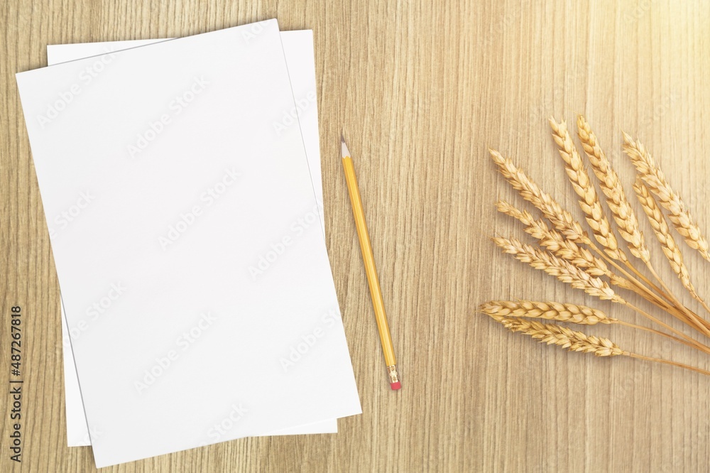 Notecard, postcard, greeting card mockup, envelope, grass, blank letter paper