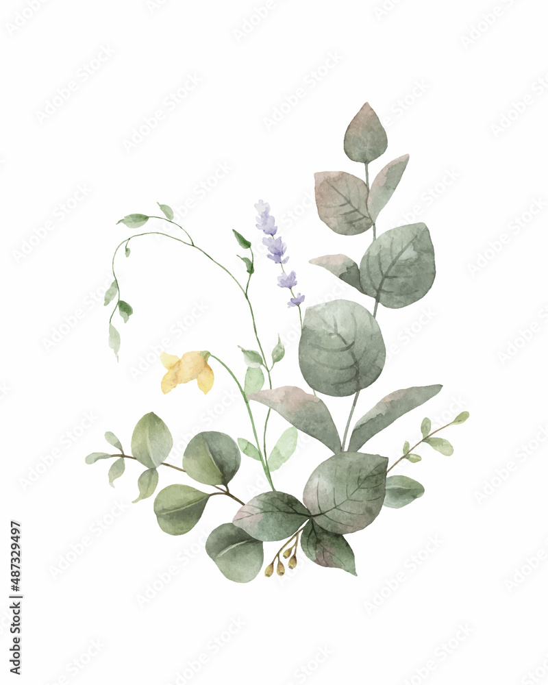 Watercolor vector green eucalyptus and meadow flowers arrangement.